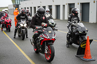 Lower Group Multicolour Bikes